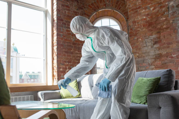 Mold Remediation for Rental Properties in Blandon, PA